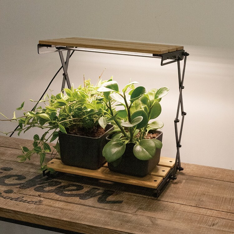 植物育成ライト 折り畳み式?660lm TT-YG05N1A-M 7340801│アイリス