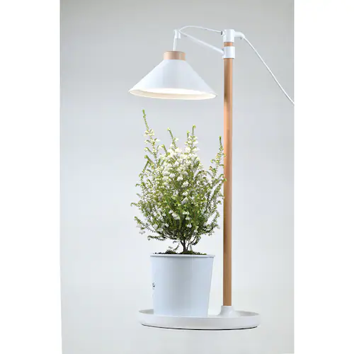 �A���琬���C�g �݂艺����?400lm TT-YG04N1A-W �y�v���U�Z���N�g�z_3