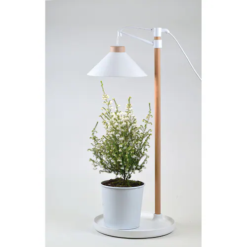 �A���琬���C�g �݂艺����?400lm TT-YG04N1A-W �y�v���U�Z���N�g�z_4