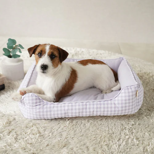 adorable pet�fs�T�}�[�M���K���X�N�G�A�x�b�hM SB-226MPU �p�[�v��_4