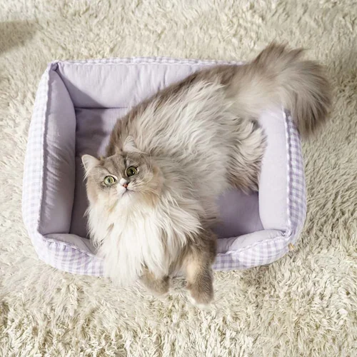 adorable pet�fs�T�}�[�M���K���X�N�G�A�x�b�hM SB-226MPU �p�[�v��_6