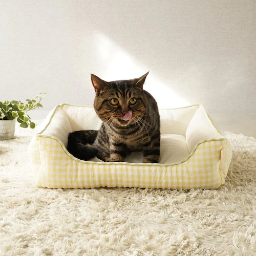 adorable pet�fs�T�}�[�M���K���X�N�G�A�x�b�hM SB-226MPU �p�[�v��_7