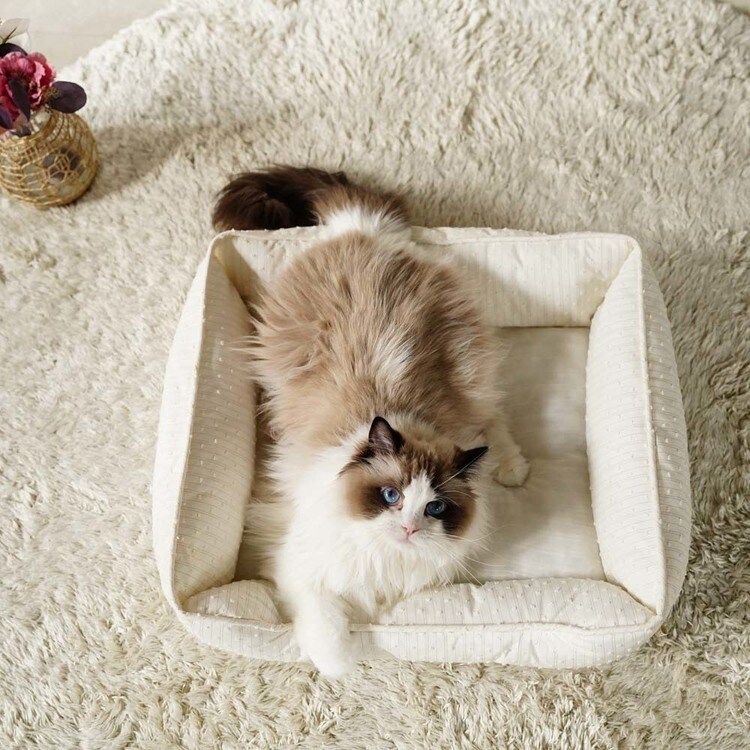 adorable pet'sロイヤルストライプスクエアベッドM SB-227MIV