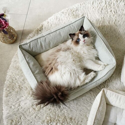 adorable pet�fs���C�����X�g���C�v�X�N�G�A�x�b�hM SB-227MGR �O���[��_4