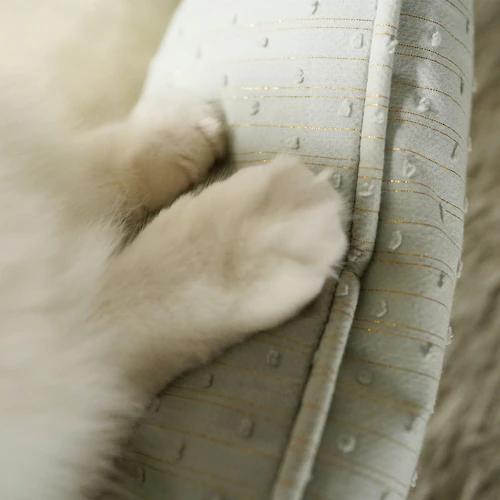adorable pet�fs���C�����X�g���C�v�X�N�G�A�x�b�hM SB-227MGR �O���[��_5