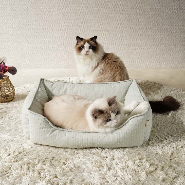 adorable pet'sロイヤルストライプスクエアベッドM SB-227MIV