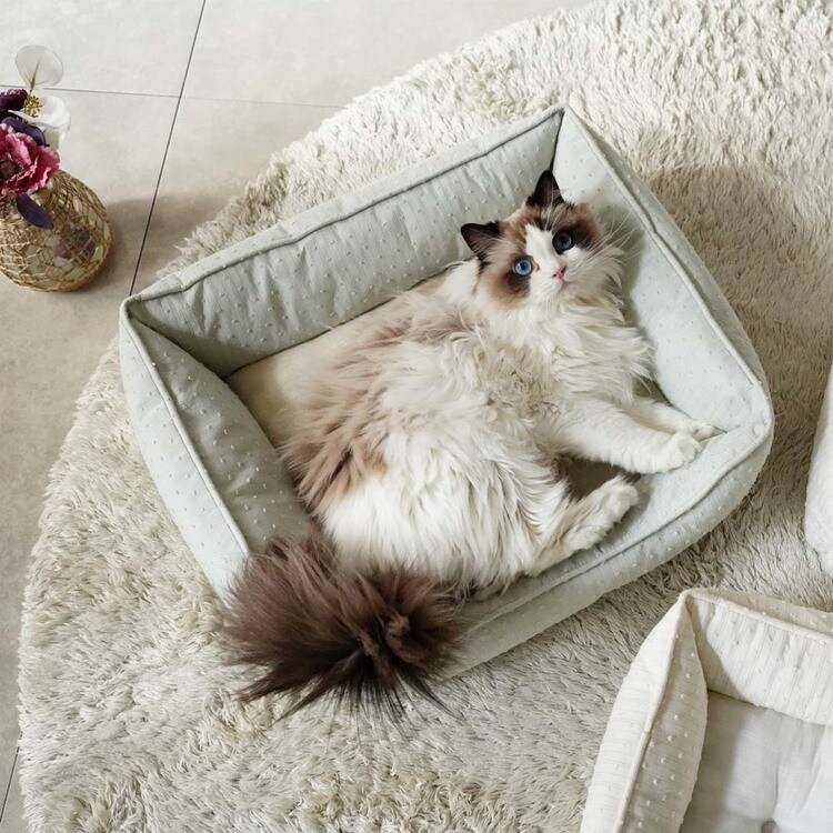 adorable pet'sロイヤルストライプスクエアベッドM SB-227MIV