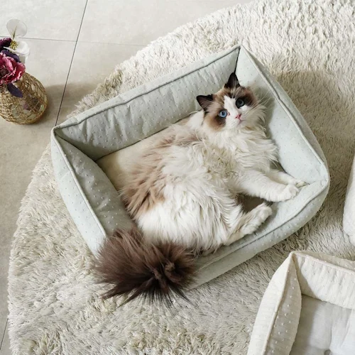 adorable pet�fs���C�����X�g���C�v�X�N�G�A�x�b�hM SB-227MIV �A�C�{���[_5