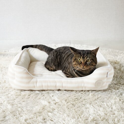 adorable pet�fs�T�}�[�{�[�_�[�X�N�G�A�x�b�hM SB-229MBE �x�[�W��_1