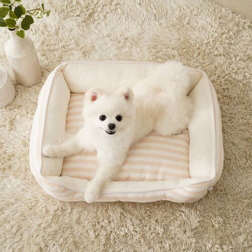 adorable pet�fs�T�}�[�{�[�_�[�X�N�G�A�x�b�hM SB-229MBE �x�[�W��_3