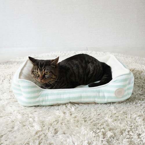 adorable pet�fs�T�}�[�{�[�_�[�X�N�G�A�x�b�hM SB-229MBE �x�[�W��_4