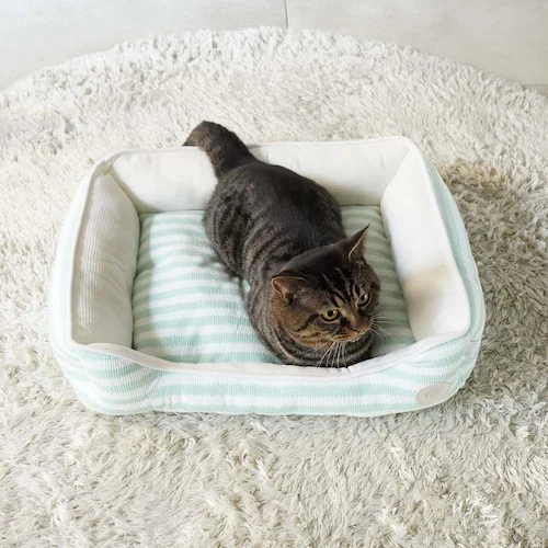 adorable pet�fs�T�}�[�{�[�_�[�X�N�G�A�x�b�hM SB-229MBE �x�[�W��_6