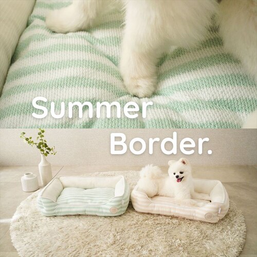 adorable pet�fs�T�}�[�{�[�_�[�X�N�G�A�x�b�hM SB-229MBE �x�[�W��_9