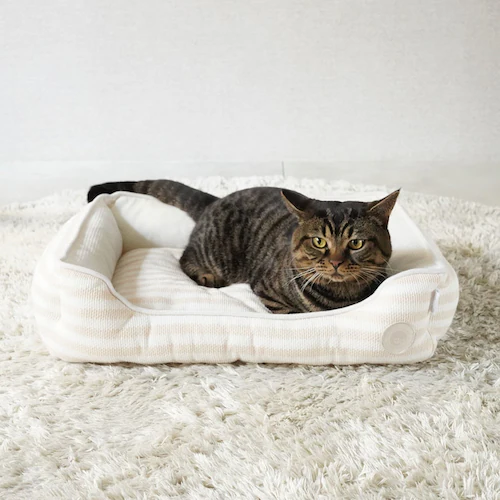 adorable pet�fs�T�}�[�{�[�_�[�X�N�G�A�x�b�hM SB-229MBE �x�[�W��_2