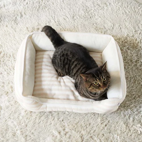 adorable pet�fs�T�}�[�{�[�_�[�X�N�G�A�x�b�hM SB-229MBE �x�[�W��_3