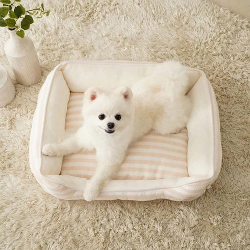 adorable pet�fs�T�}�[�{�[�_�[�X�N�G�A�x�b�hM SB-229MBE �x�[�W��_4