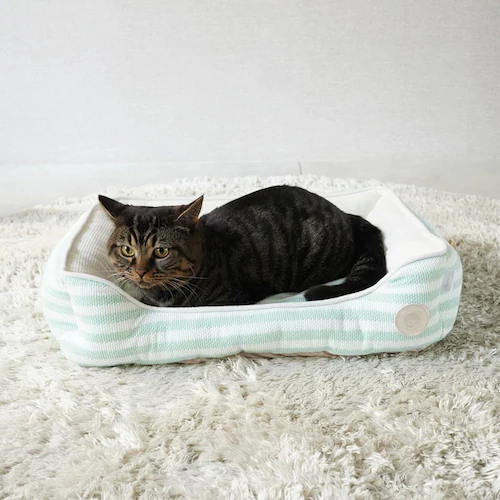 adorable pet�fs�T�}�[�{�[�_�[�X�N�G�A�x�b�hM SB-229MBE �x�[�W��_5