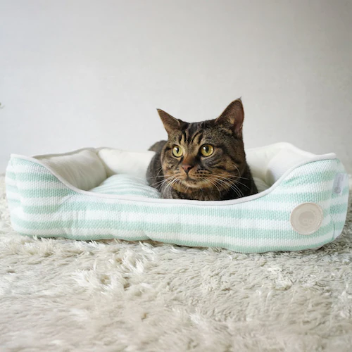 adorable pet�fs�T�}�[�{�[�_�[�X�N�G�A�x�b�hM SB-229MBE �x�[�W��_6