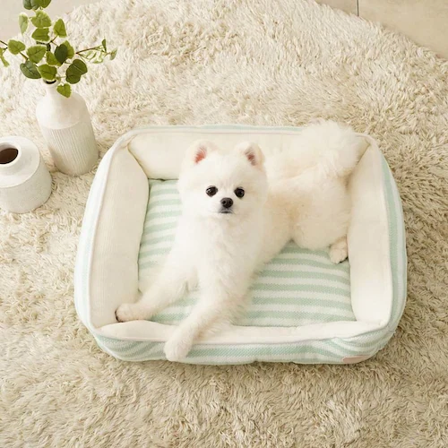 adorable pet�fs�T�}�[�{�[�_�[�X�N�G�A�x�b�hM SB-229MBE �x�[�W��_8