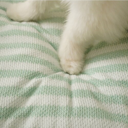 adorable pet�fs�T�}�[�{�[�_�[�X�N�G�A�x�b�hM SB-229MBE �x�[�W��_9