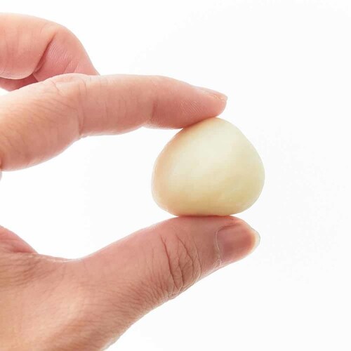 �V�R���� �ґ�܂邲�Ƃ������̃z���C�g�`���R�ǂ�����250g SM00010547 �y�v���U�Z���N�g�z_10