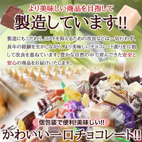 �V�R���� �y�����p�z�W���[�W�[�~�b�N�X�ЂƂ����`���R���[�g300g SM00010650 �y�v���U�Z���N�g�z_5