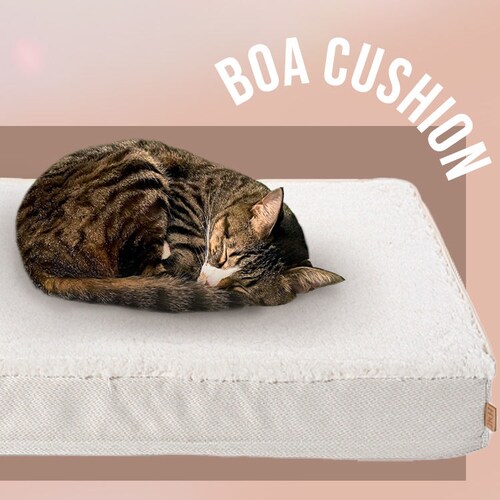 �y�b�g�x�b�h �y�b�g�\�t�@�[ _5