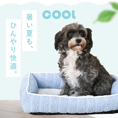 �y�b�g�x�b�h �X�N�G�A�x�b�hS �u���[ _3