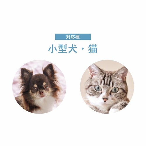 ���E���h�x�b�hS _16