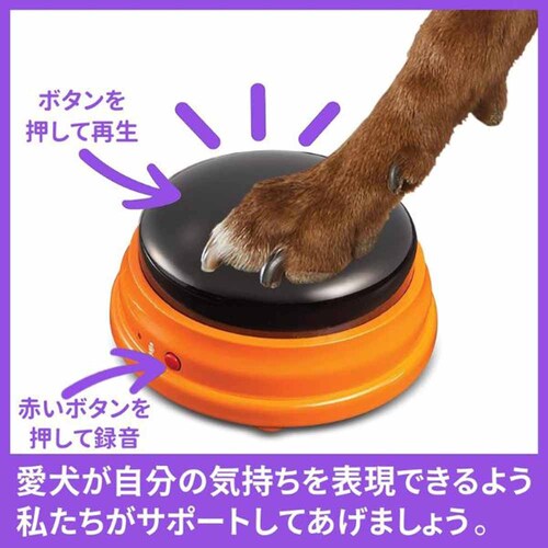 �n���K�[�t�H�[���[�Y(Hunger for Words) �g�[�L���O�y�b�g ������ׂ�^���{�^���i�X�^�[�^�[�j LSP 9351-J �y�v���U�Z���N�g�z_2