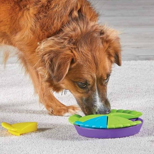 �u���C�g�L���Y(Brightkins) �g���[�c�݂����I�t���[�c�p�C�p�Y�� LER 9401 �y�v���U�Z���N�g�z_3