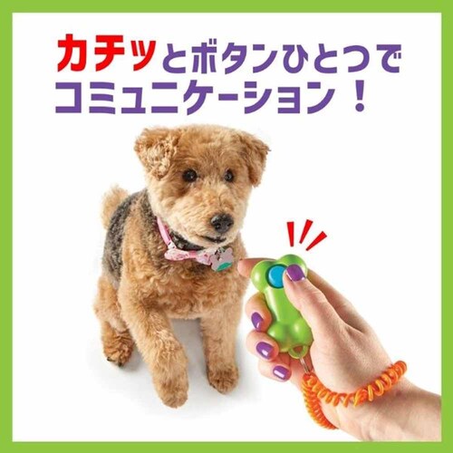 �u���C�g�L���Y(Brightkins) �J�`�b�Ƃ��ق��уN���b�J�[ LSP 9380-J �{�[���y�v���U�Z���N�g�z_2