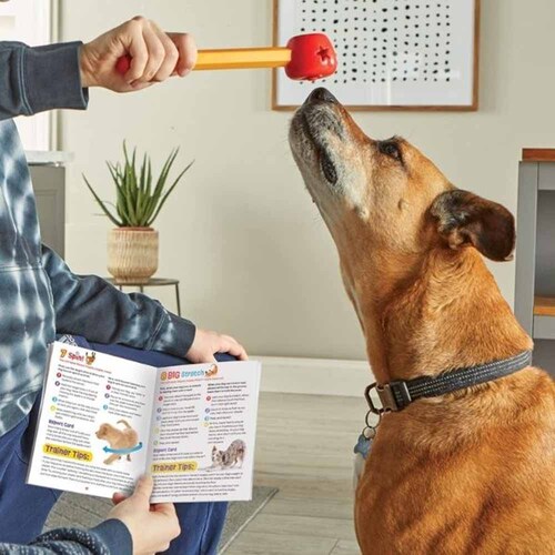 �u���C�g�L���Y(Brightkins) �����X�N�[���I�g���[�j���O�Z�b�g LER 9363 �y�v���U�Z���N�g�z_2