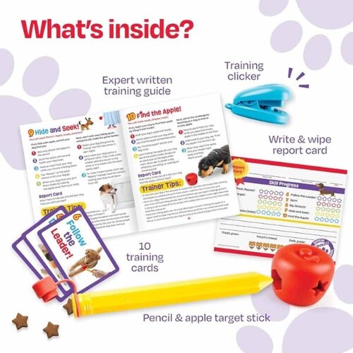 �u���C�g�L���Y(Brightkins) �����X�N�[���I�g���[�j���O�Z�b�g LER 9363 �y�v���U�Z���N�g�z_3