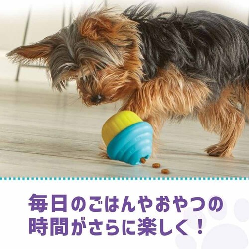 �u���C�g�L���Y(Brightkins) �g���[�c�݂����I�X���[���J�b�v�P�[�L LSP 9373-J �y�v���U�Z���N�g�z_3