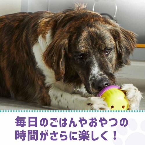 �u���C�g�L���Y(Brightkins) �g���[�c�݂����I�r�b�O�J�b�v�P�[�L LSP 9384-J �y�v���U�Z���N�g�z_3