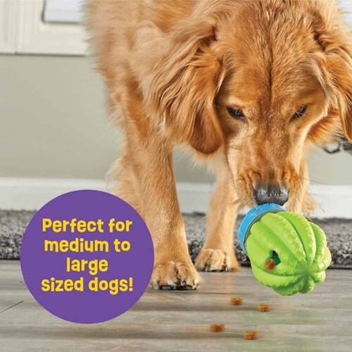 �u���C�g�L���Y(Brightkins) �g���[�c�݂����I�T�{�e�� LER 9372 �y�v���U�Z���N�g�z_4