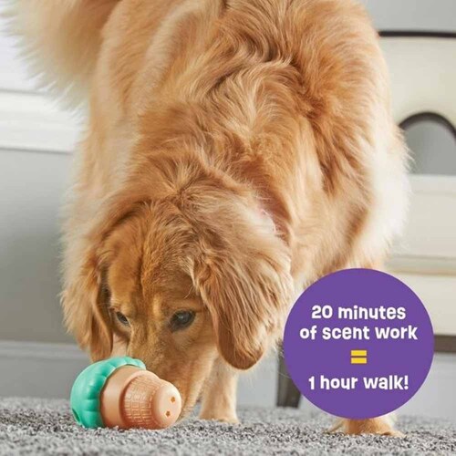 �u���C�g�L���Y(Brightkins) �g���[�c�݂����I�r�b�O�A�C�X�N���[�� LER 9396 �y�v���U�Z���N�g�z_2