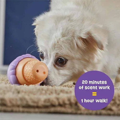 �u���C�g�L���Y(Brightkins) �g���[�c�݂����I�X���[���A�C�X�N���[�� LER 9395 �y�v���U�Z���N�g�z_2