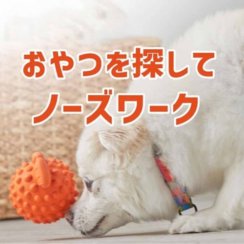 ブライトキンズ(Brightkins) トリーツみっけ!ハリセンボン(小) LER 9388 【プラザセレクト】_2