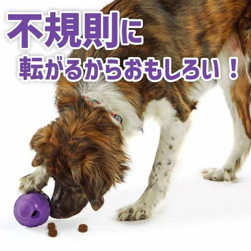 �u���C�g�L���Y(Brightkins) �g���[�c�݂����I�m�[���i��j LER 9391 �y�v���U�Z���N�g�z_2