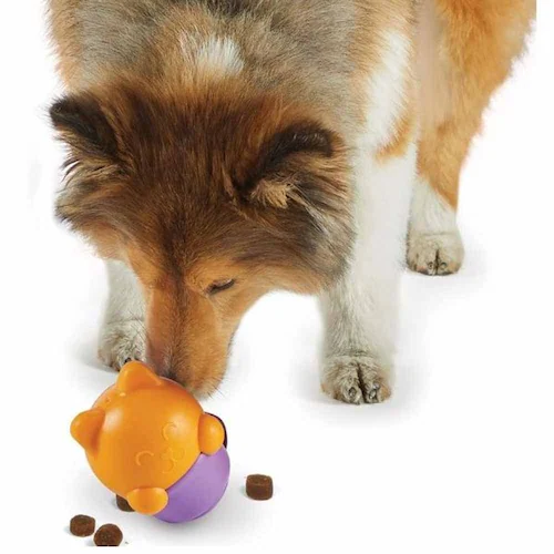 �u���C�g�L���Y(Brightkins) �g���[�c�݂����I �e�B�[�J�b�v�L���b�g LER 9398 �y�v���U�Z���N�g�z_3