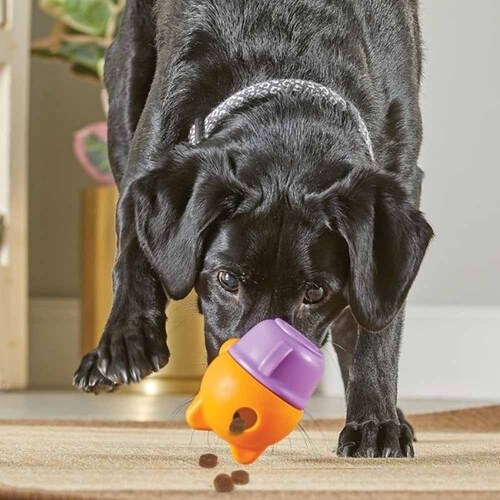 �u���C�g�L���Y(Brightkins) �g���[�c�݂����I �e�B�[�J�b�v�L���b�g LER 9398 �y�v���U�Z���N�g�z_4