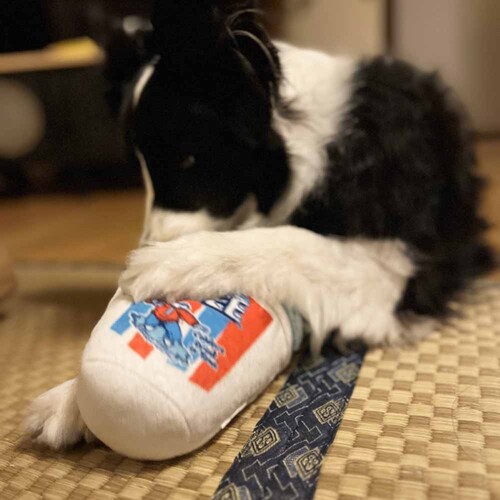 ���C���I(Ywow) �y�b�g�̃s�R�s�R�g�C 21402A �v�����O���Y /�΁y�v���U�Z���N�g�z_4