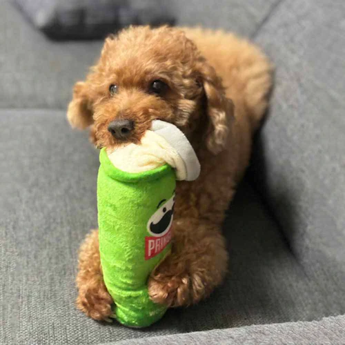 ���C���I(Ywow) �y�b�g�̃s�R�s�R�g�C 21402A �v�����O���Y /�΁y�v���U�Z���N�g�z_9