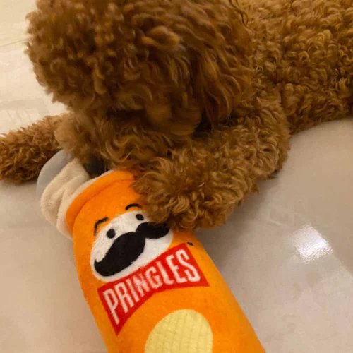 ���C���I(Ywow) �y�b�g�̃s�R�s�R�g�C 21402A �v�����O���Y /�΁y�v���U�Z���N�g�z_11