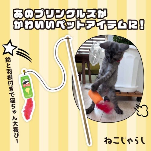 ���C���I(Ywow) �L����炵 83312D �R�[���t���X�e�B�y�v���U�Z���N�g�z_10