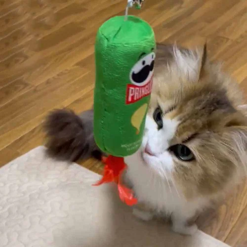 ���C���I(Ywow) �L����炵 83312D �R�[���t���X�e�B�y�v���U�Z���N�g�z_11