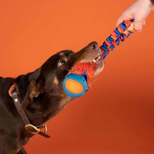 �^�O�E�C�E�i�t (Tug-E-Nuff) �|�P�b�g�p���[�{�[�� �t�F�C�N�t�@�[ �I�����W 10674-O �y�v���U�Z���N�g�z_2