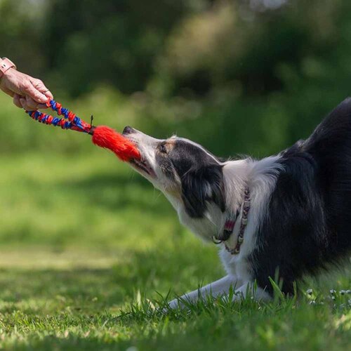 �^�O�E�C�E�i�t (Tug-E-Nuff) �|�P�b�g�t�F�C�N�t�@�[ �I�����W 9707-O �y�v���U�Z���N�g�z_2